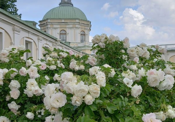 Ораниенбаум: большая пешеходная прогулка (Верхний парк и Нижний сад) - фото 3