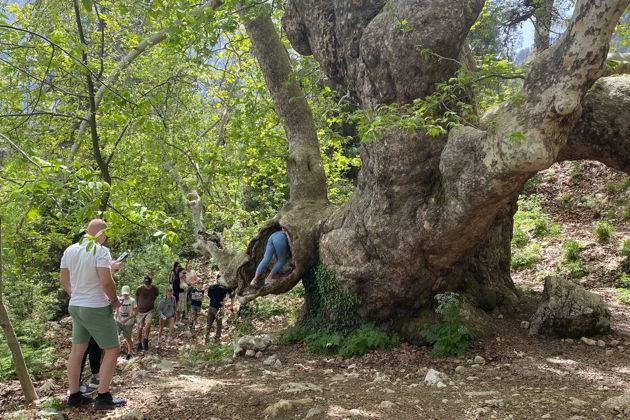 Фото экскурсии - Джип-тур по окрестностям Кемера - 14