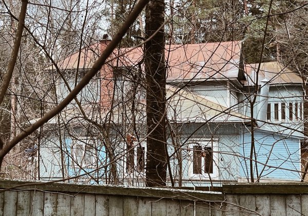 «Так вышло, что живу я в Переделкино»: литературный квест