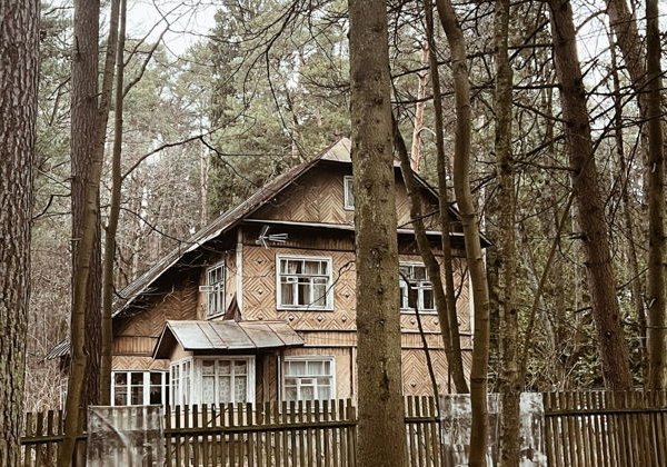 «Так вышло, что живу я в Переделкино»: литературный квест - фото 4