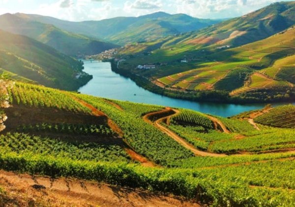 Долина Доуру - одно из самых красивых мест Португалии  - фото 4
