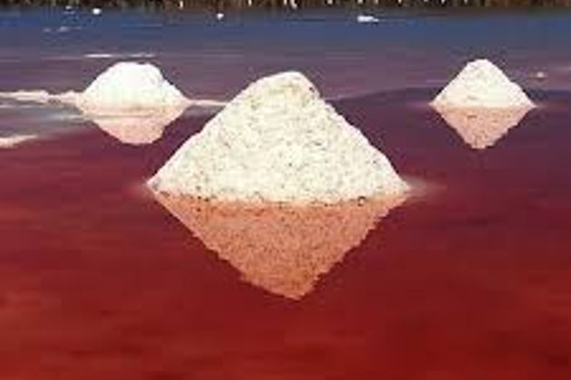 Фото экскурсии - Уникальное путешествие к Розовому озеру, Карамельным горам и Бешбармагу с дегустацией черной икры и обедом в рыбном ресторане - 15