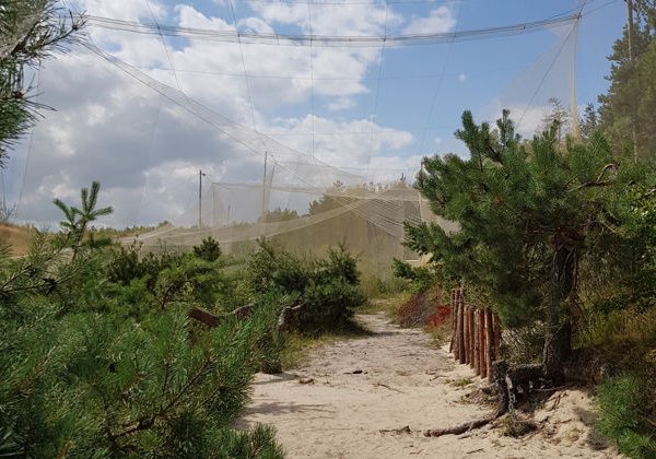 Увлекательная поездка на автомобиле по Куршской косе с профессиональным гидом - фото 1