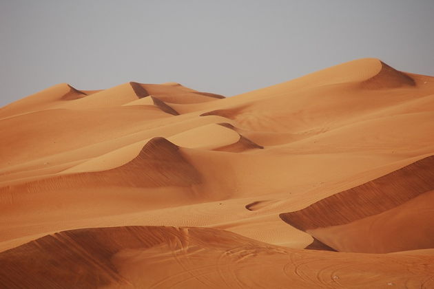 Фото экскурсии - Сафари премиум-класса из Аджмана с ужином в ресторане Bab Al Shams - 7