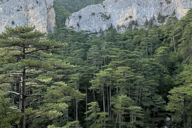 Фото экскурсии - Пешие маршруты Крыма: походы доступные каждому - 9