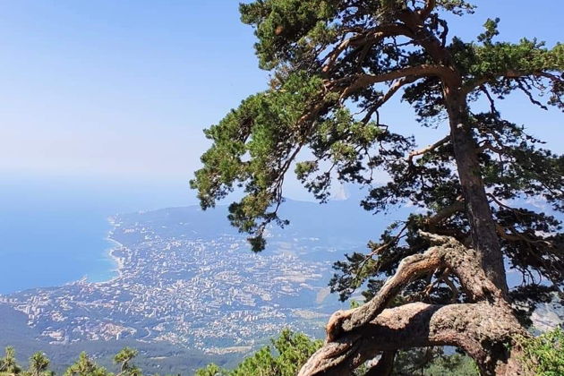 Фото экскурсии - Прогулка по царской дороге: история династии Романовых - 10