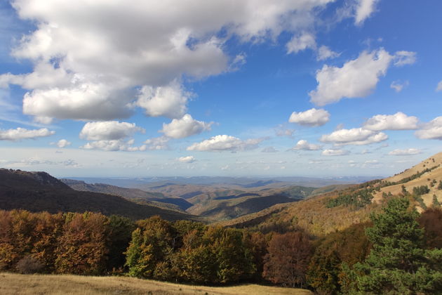 Фото экскурсии - Прогулка по царской дороге: история династии Романовых - 8