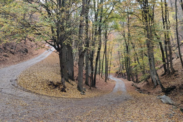Фото экскурсии - Прогулка по царской дороге: история династии Романовых - 9