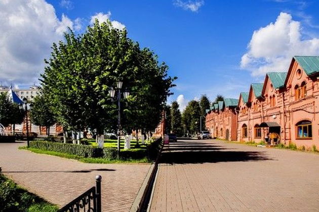 Фото экскурсии - «И будет музыка звучать»: Клин — Музей П.И. Чайковского — Демьяново - 2