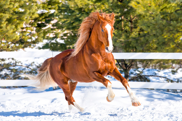 Фото - экскурсия: Экскурсия на чайные поля Мацесты и ферму Экзархо