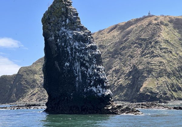Морская прогулка к острову Старичков: морская рыбалка и крабовое сафари - фото 4