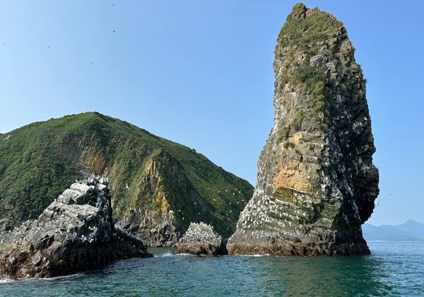 Морская прогулка к острову Старичков: морская рыбалка и крабовое сафари