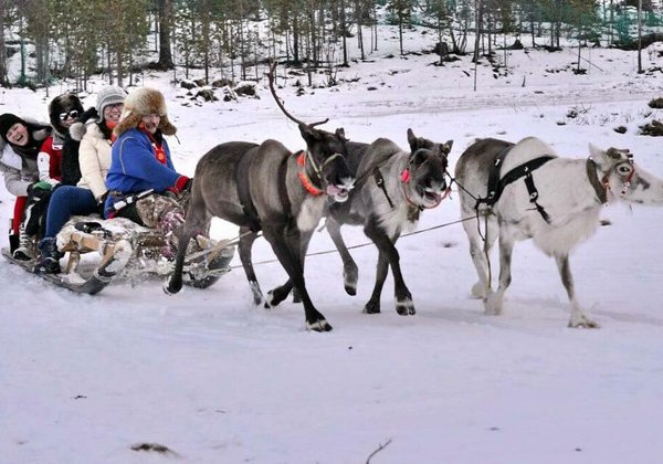 Север изнутри: деревня саамов