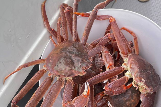 Фото экскурсии - Морская и глубоководная «Трофейная» рыбалка, крабовое сафари в Тихом оке - 6