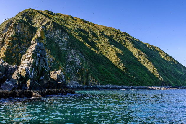 Фото экскурсии - Морская экскурсия на остров Старичков с рыбалкой и охотой на крабов - 9