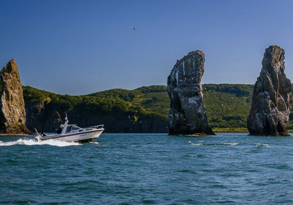 Морская прогулка к острову Старичков: морская рыбалка и крабовое сафари