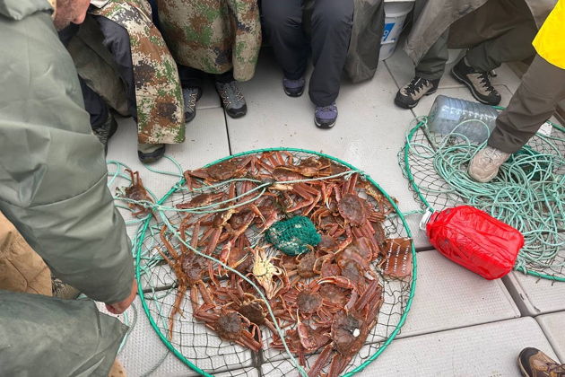 Фото экскурсии - Морское путешествие в Бухту Русскую с высадкой на берег, рыбалкой и охотой на крабов - 10