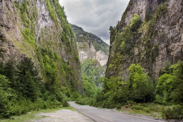 В Абхазию на минивэне: Гагра, Мандариновый сад, Рица! (группа 6-8 человек)-1