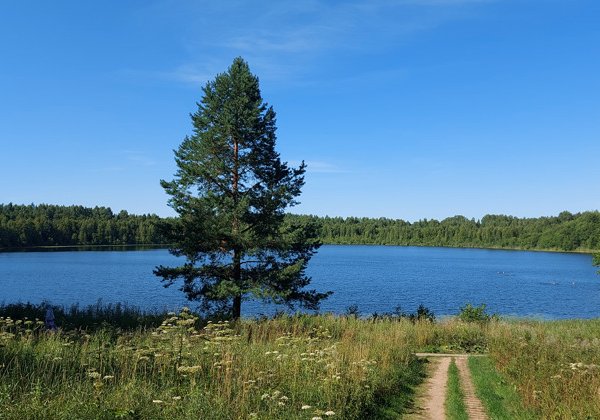 Экскурсия на озеро Светлояр с посещением сырной фермы
