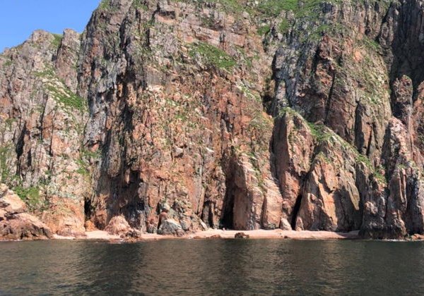 Морское приключение, морские котики и морепродукты во Владивостоке - фото 1