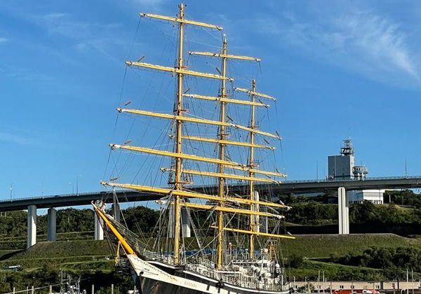 Морское приключение, морские котики и морепродукты во Владивостоке - фото 4
