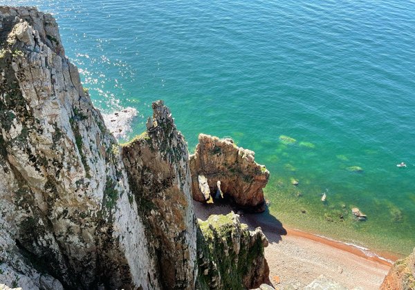 Морское приключение, морские котики и морепродукты во Владивостоке