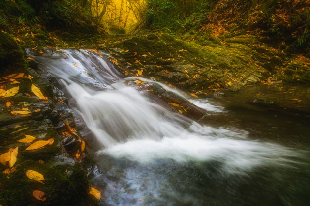 Фото экскурсии - К Ореховскому водопаду с фотосетом на камерофон Vivo X200 - 5