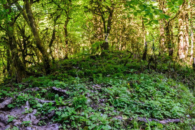 Фото экскурсии - К Ореховскому водопаду с фотосетом на камерофон Vivo X200 - 6