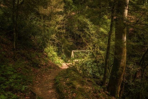 Фото экскурсии - К Ореховскому водопаду с фотосетом на камерофон Vivo X200 - 7