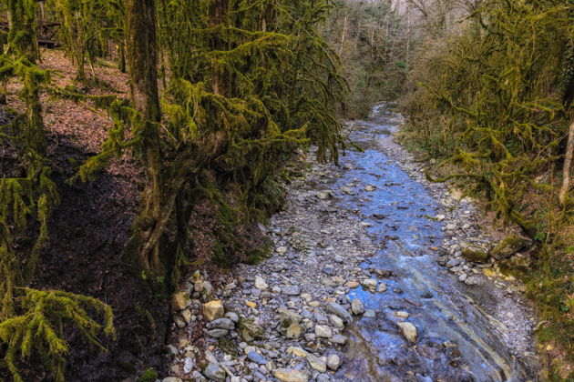 Фото экскурсии - К Ореховскому водопаду с фотосетом на камерофон Vivo X200 - 8