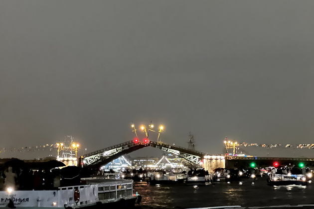 Фото экскурсии - Ночные силуэты: полуторачасовая магия разводных мостов с однопалубного судна - 15