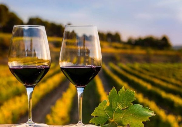 In vino veritas! Истина - в вине!