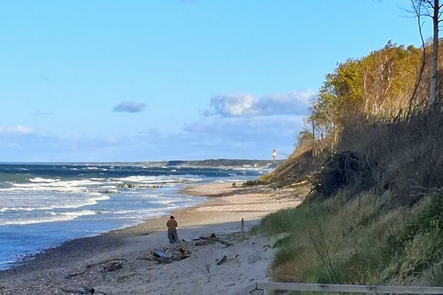 Фото экскурсии - Куршская коса, Зеленоградск и сыроварня Шаакен Дорф на Балтике - 5
