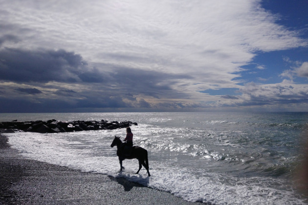 Фото - экскурсия: Конная прогулка к побережью Черного моря