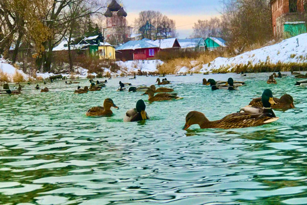 Фото - экскурсия: Автобусная экскурсия в Нерехту — город-музей под открытым небом