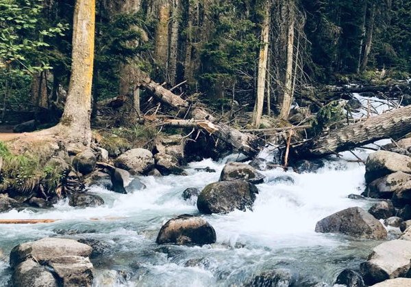 Выходные на Кавказе! - фото 2
