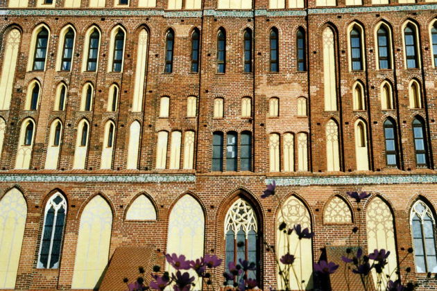 Фото экскурсии - Познакомьтесь с ключевыми достопримечательностями Калининграда на обзорной экскурсии - 9