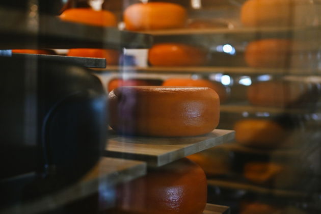 Фото экскурсии - Экскурсия на Куршскую косу с дегустацией сыров в сыроварне Шаакен Дорф - 13