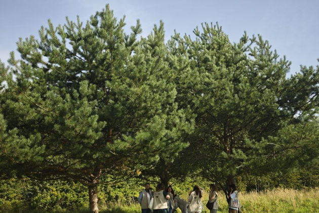 Фото экскурсии - Иммерсивная театральная прогулка "Эхо Леса" в Битцевском лесу - 5