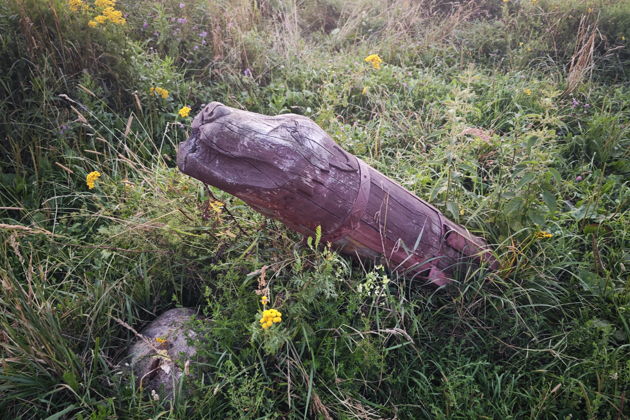 Фото экскурсии - Иммерсивная театральная прогулка "Эхо Леса" в Битцевском лесу - 12