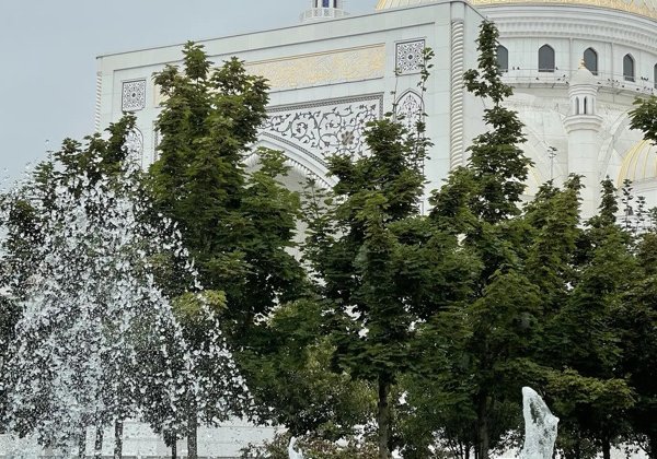 Колоритная Чеченская Республика — Грозный, Шали, Аргун индивидуально