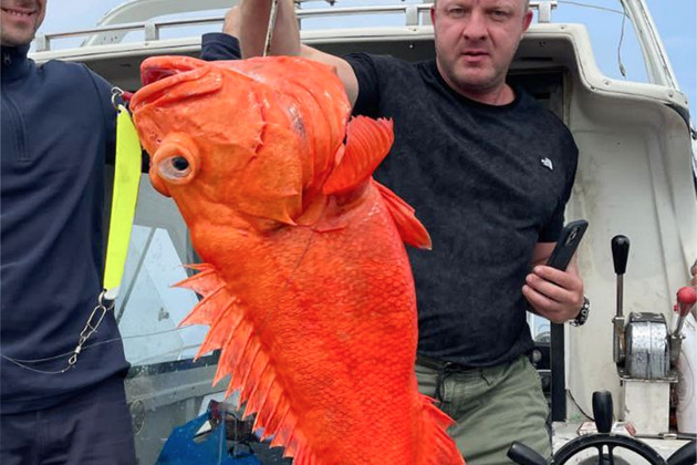 Фото - экскурсия: Морская и глубоководная «Трофейная» рыбалка, крабовое сафари в Тихом океане