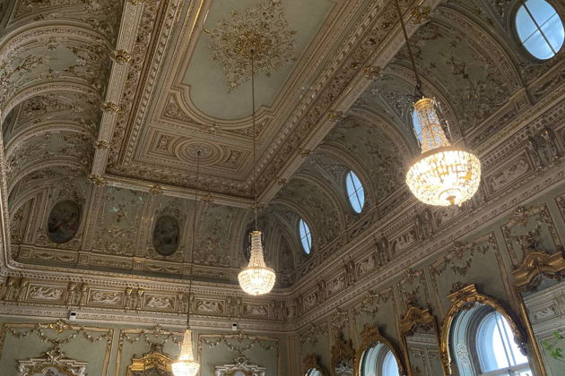 Фото экскурсии - Экскурсия в Ново-Михайловский дворец - 3