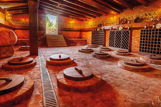 Фото экскурсии - Ртвели в винной Кахетии 2026 — праздник сбора урожая - 14