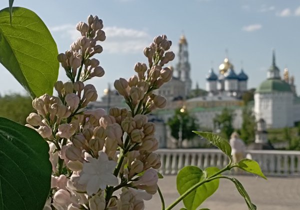  От Радонежа до Маковца