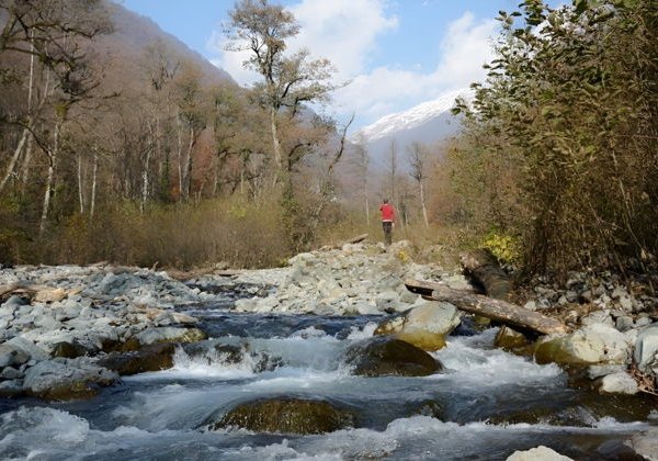Треккинг по заповеднику Лагодехи из Тбилиси - фото 1