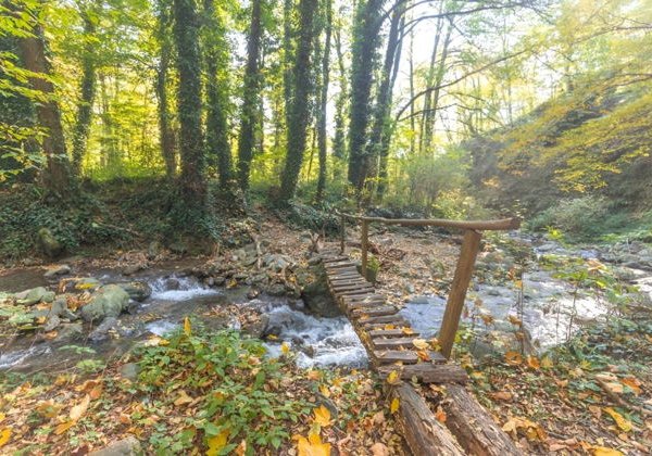 Треккинг по заповеднику Лагодехи из Тбилиси - фото 2
