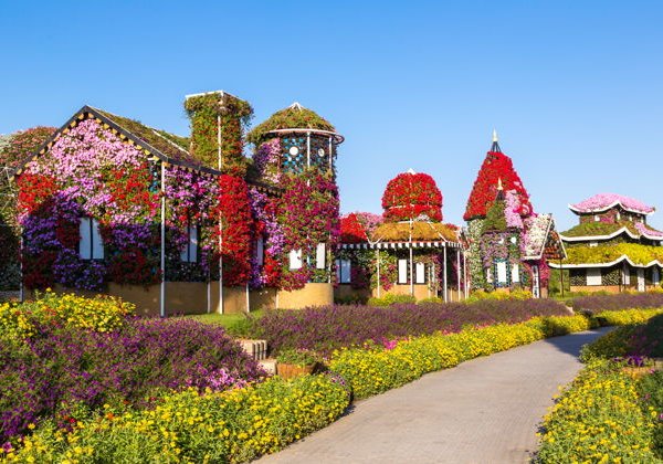 Парк цветов Miracle Garden: входной билет - фото 2