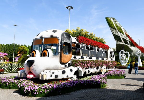 Парк цветов Miracle Garden: входной билет - фото 3