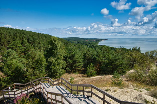 Фото экскурсии - Экскурсия на Куршскую косу с посещением орнитологической станции Фрингилла - 7